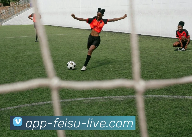 飞速体育发展历程